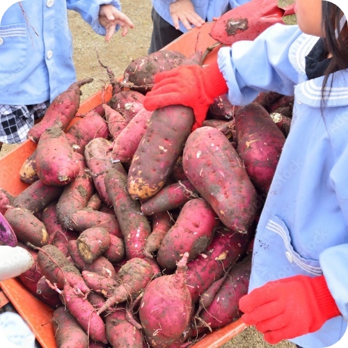 ギャラリー画像画像